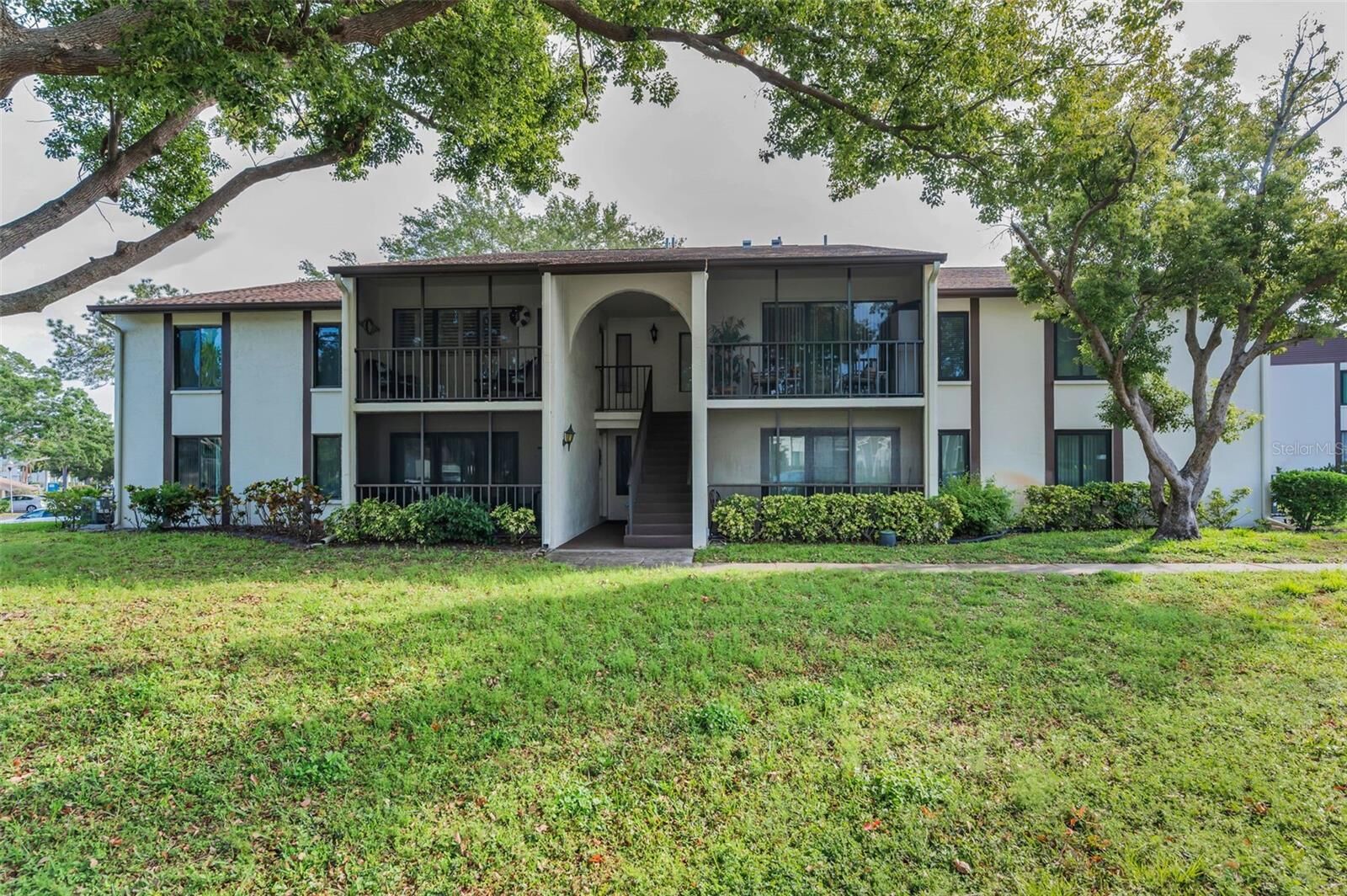 Property Photo: 2631 Pine Ridge Way S D1 FL 34684