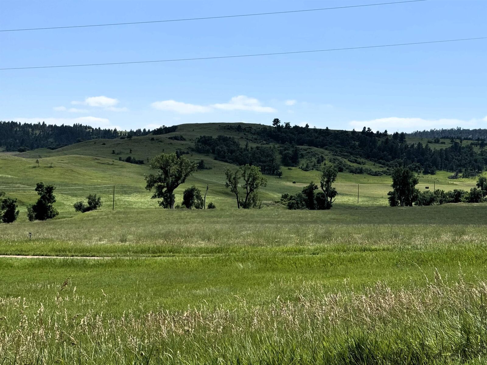 Property Photo:  E20 Holmes Road  WY 82720 