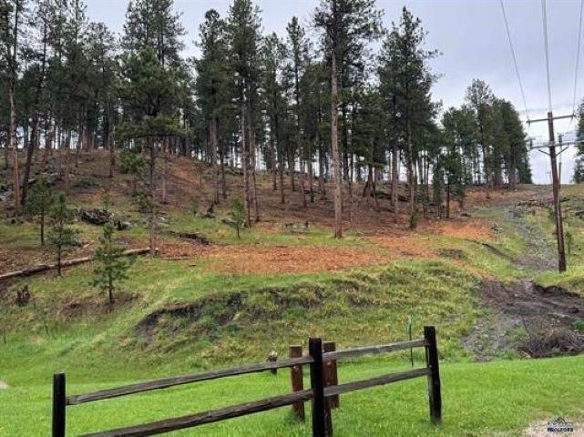 Property Photo: Tbd Norris Peak Road SD 57702