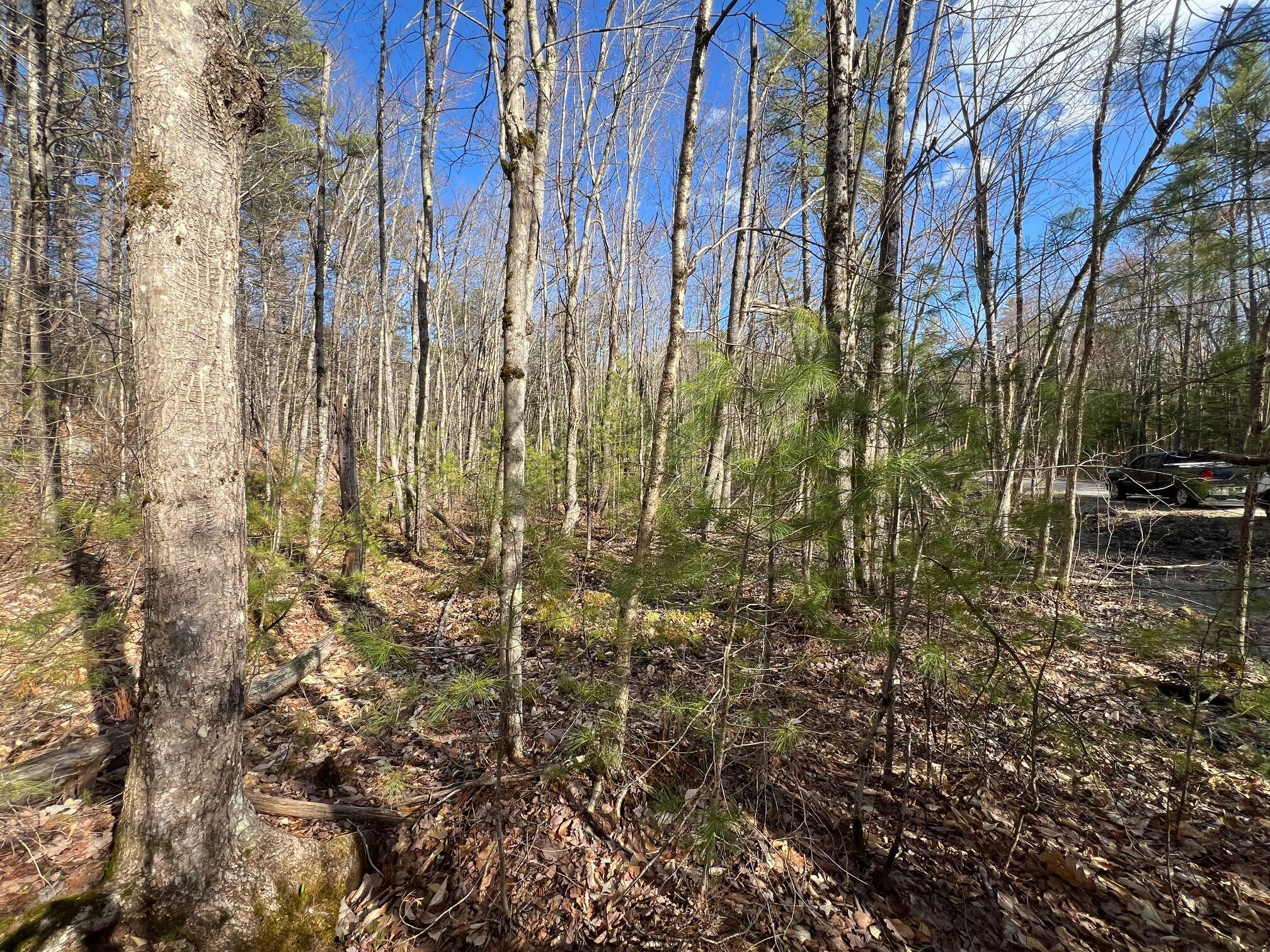 Property Photo: Lot 45 Long Street ME 04048