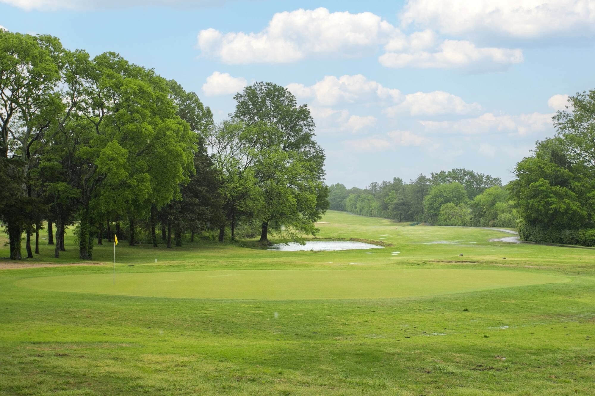 Property Photo: 103 Nashboro Grns TN 37217
