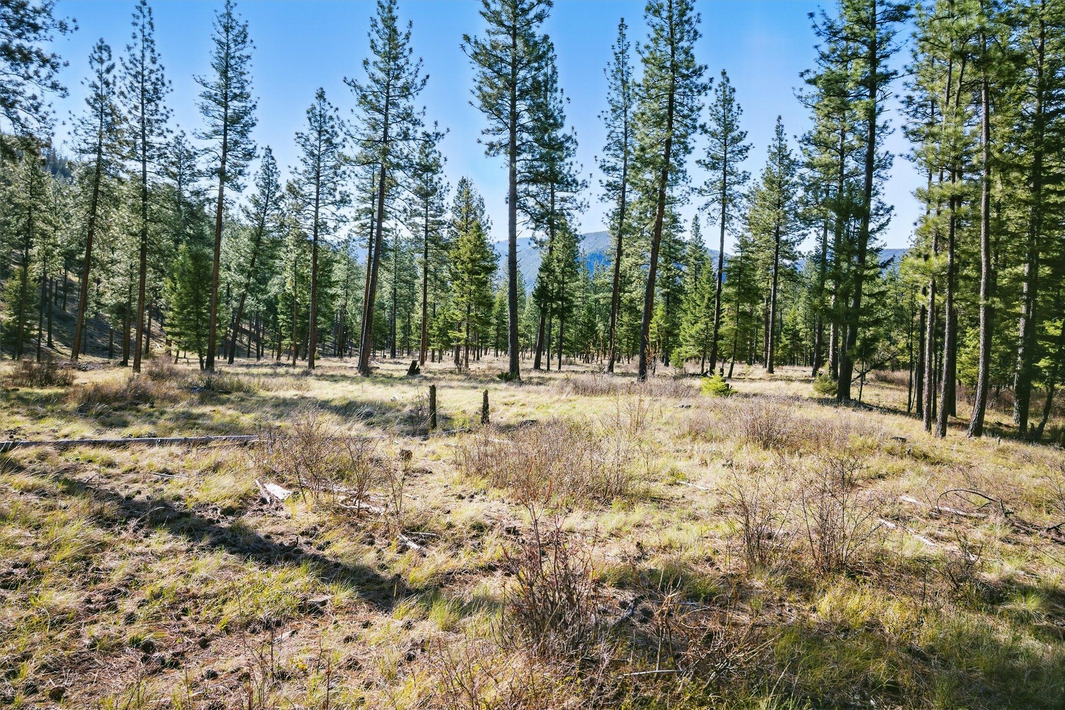 Property Photo: 13902 Highland Trail MT 59820