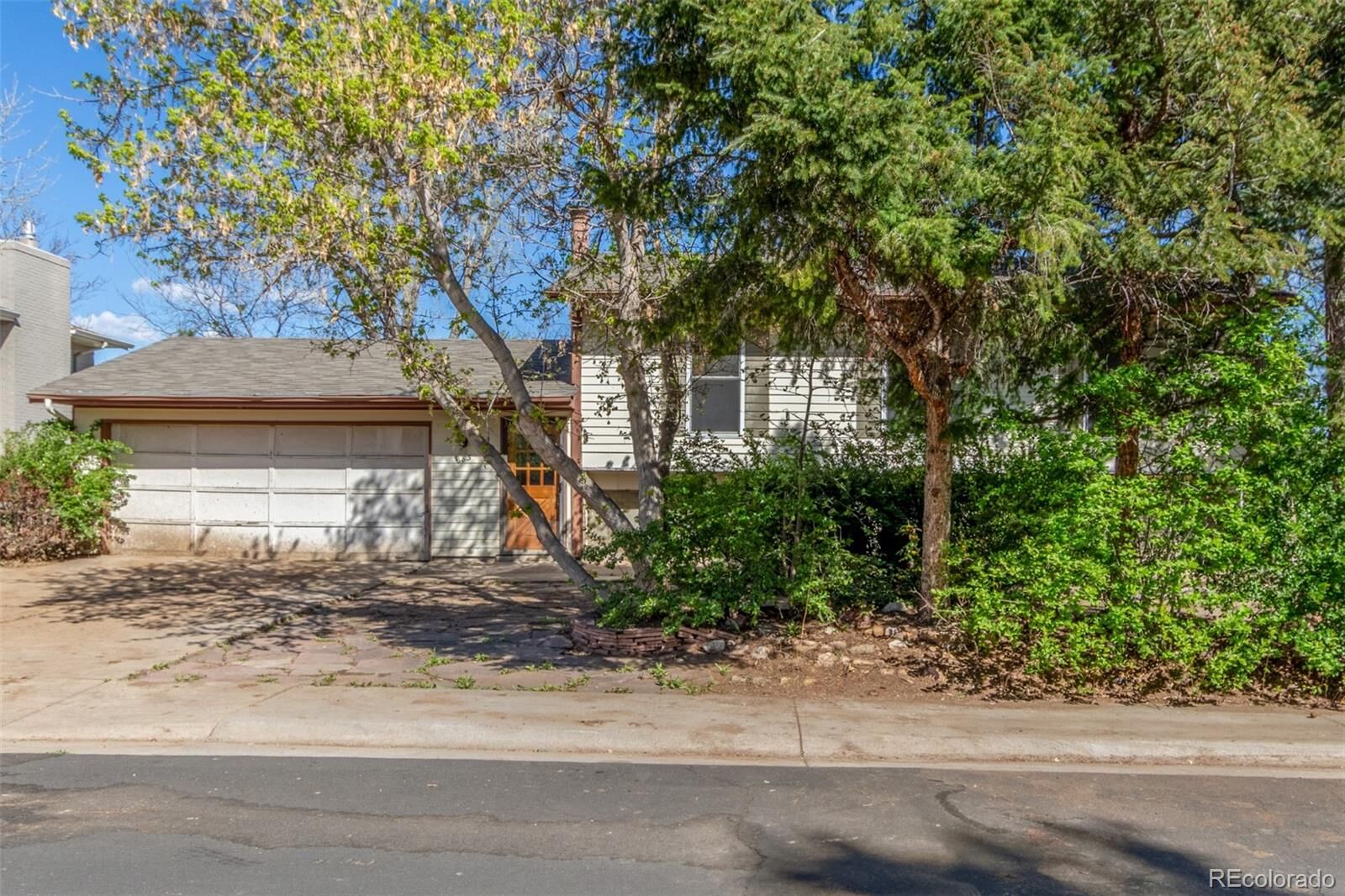 Property Photo:  683 Sunnyside Street  CO 80027 