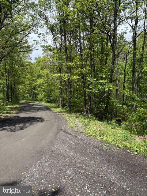 Property Photo:  0 Little Wolf Road  PA 16829 