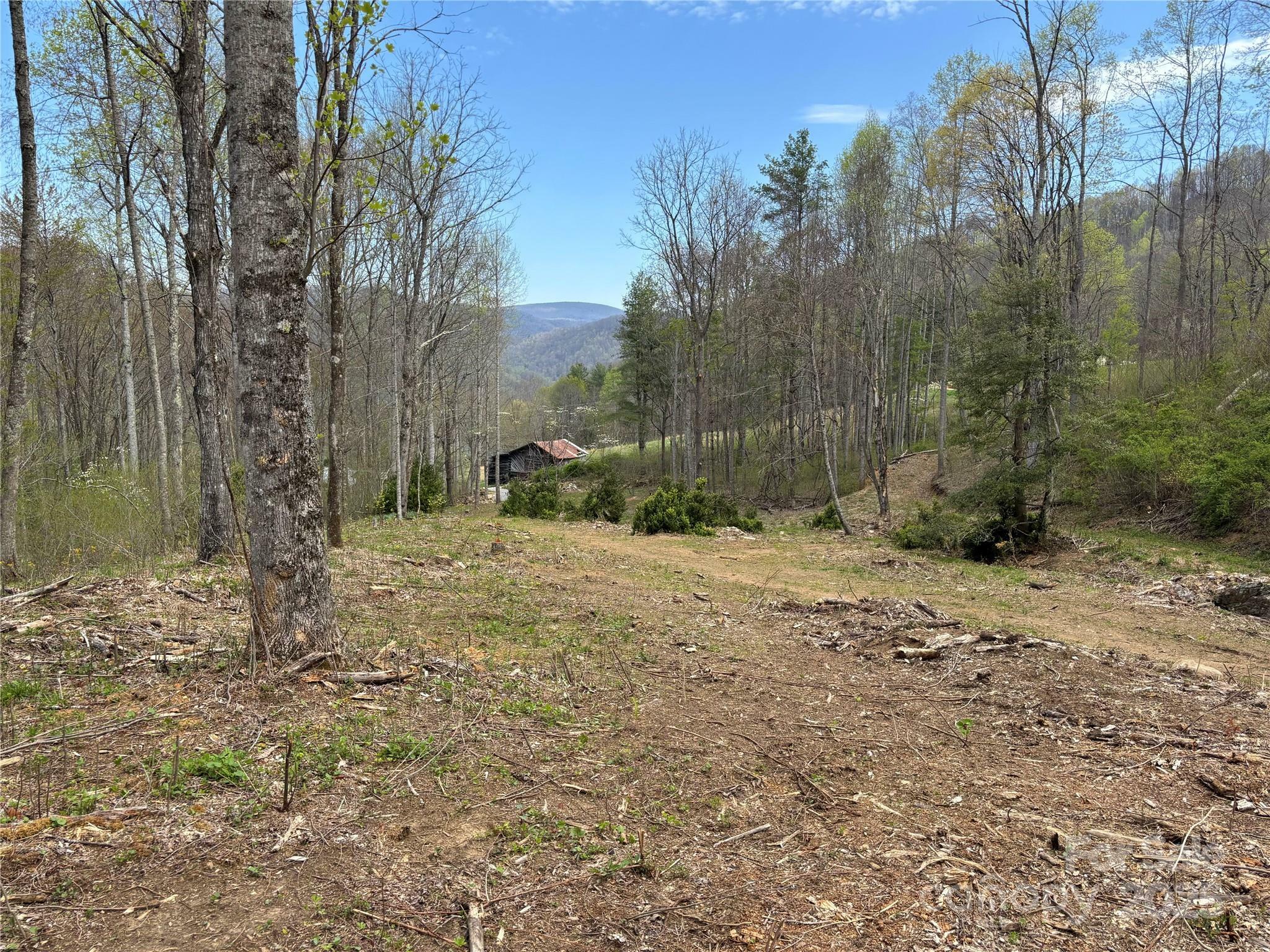 Property Photo:  (East Lot) Tbd Silas Branch Road  NC 28714 