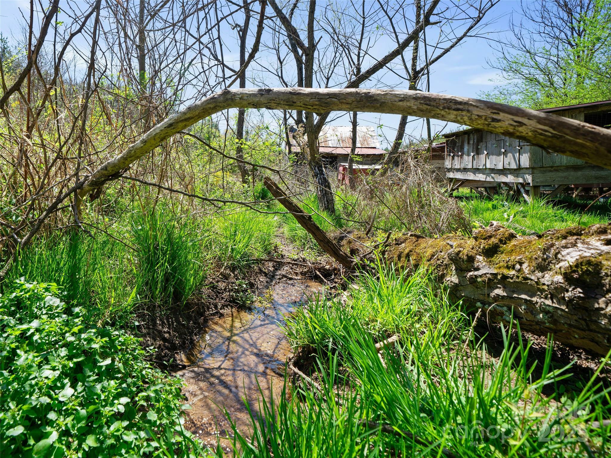 Property Photo: 6370 Meadows Town Road NC 28753