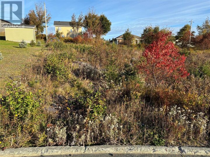 Property Photo:  4 Chelsea Place  NL A0A 1G0 