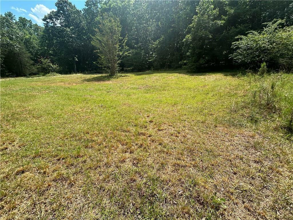 Property Photo: 289 Brandy GA 30263