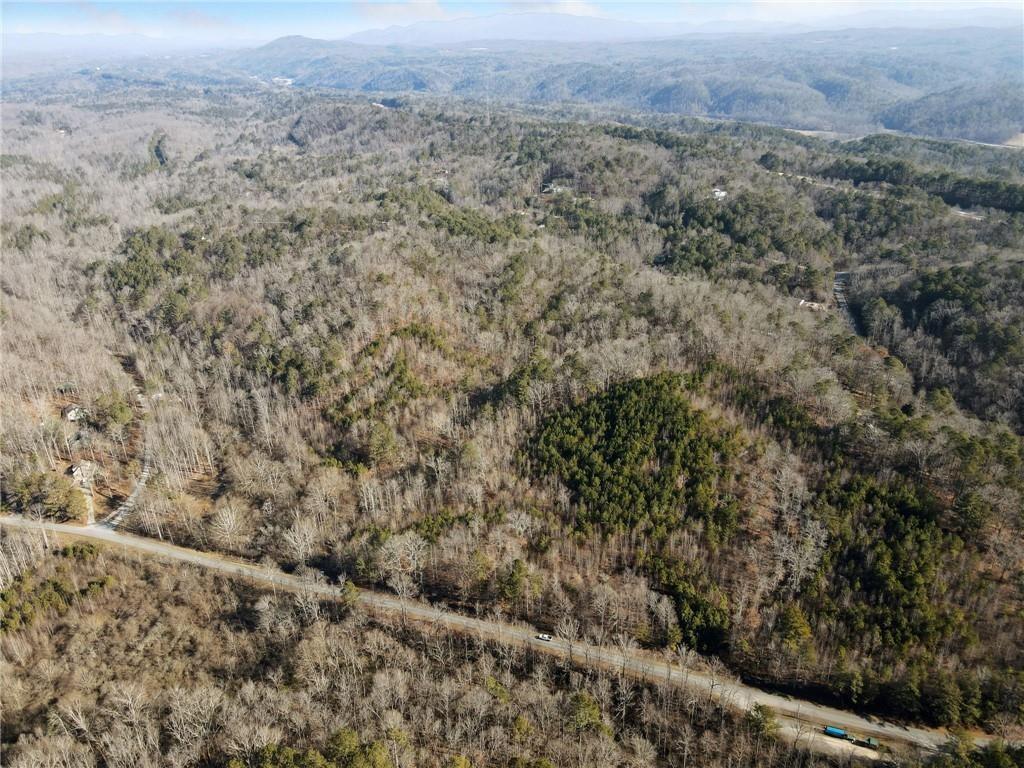 Property Photo: 23 Ac Whitestone Road GA 30175