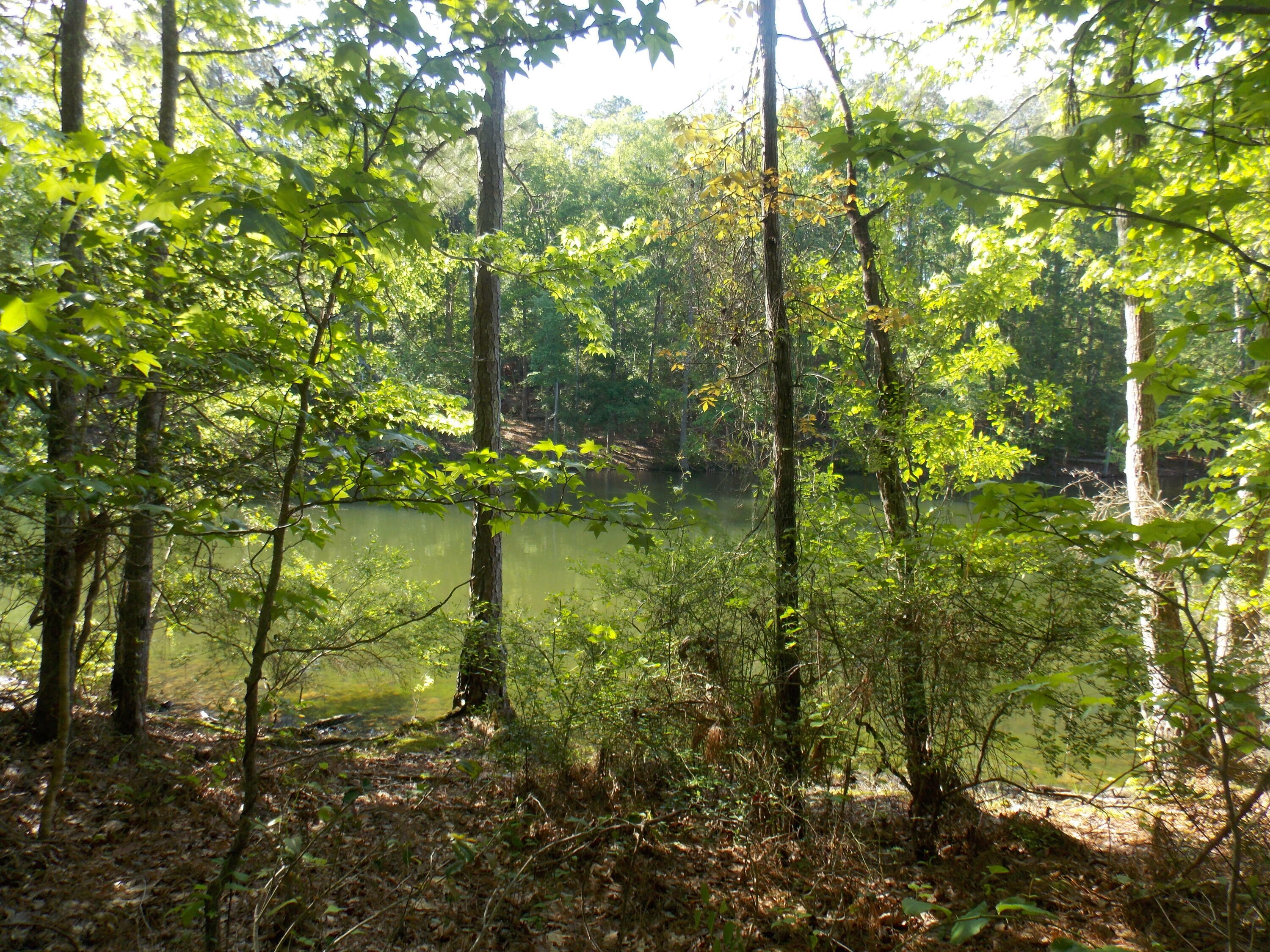 Property Photo: 13 Riverview Ct GA 30817