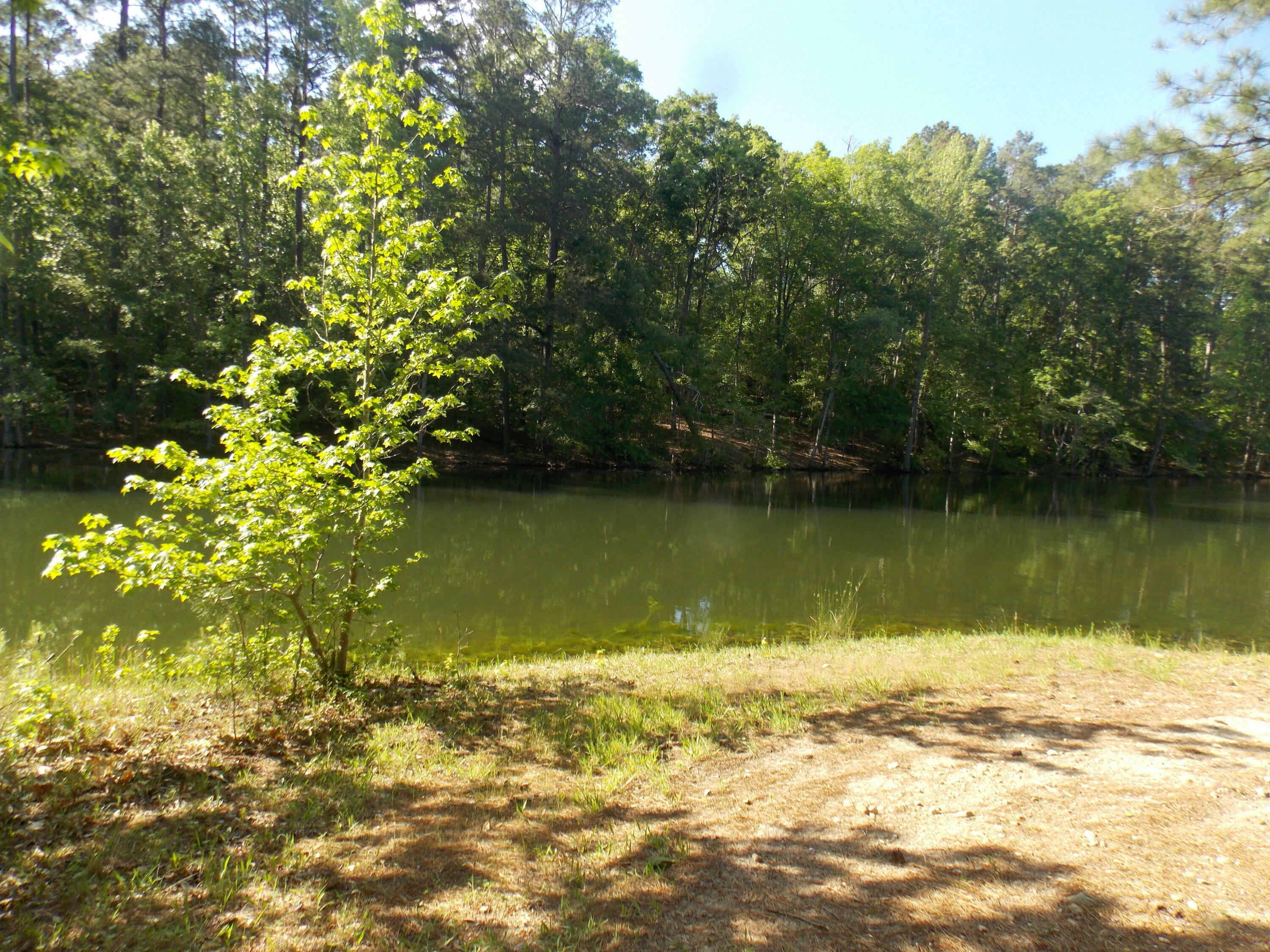 Property Photo: 12 Riverview Court GA 30817