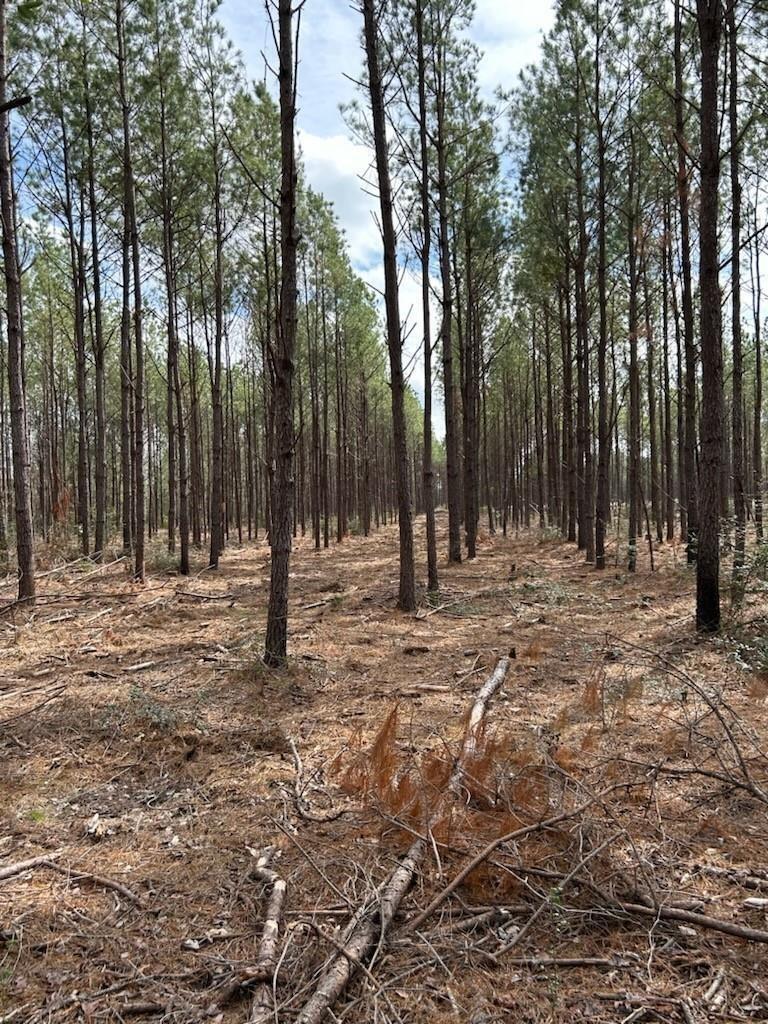 Property Photo: Tbd Lloyd Walker Road TX 75949