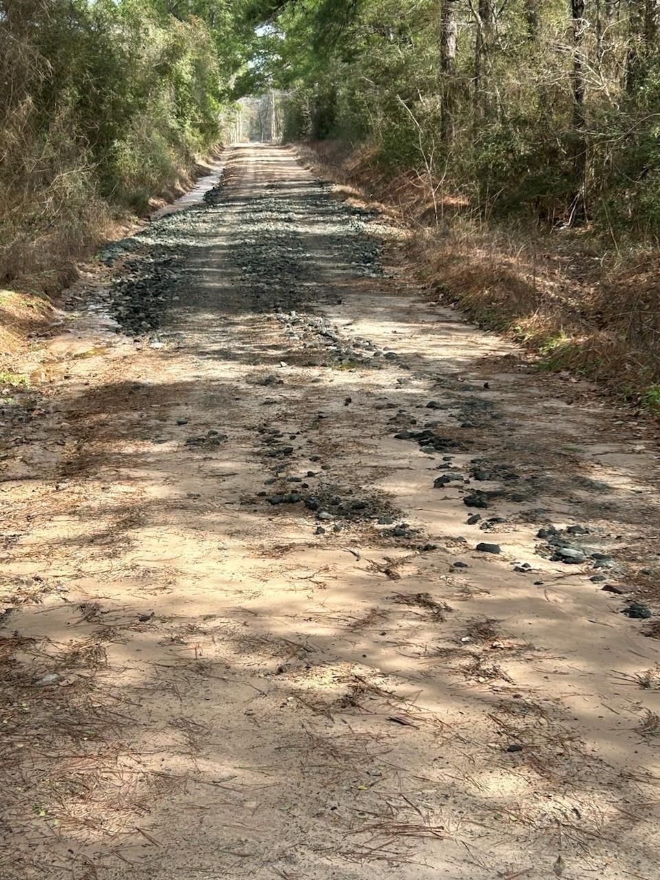 Property Photo: Tract 6 Lloyd Walker Road TX 75949