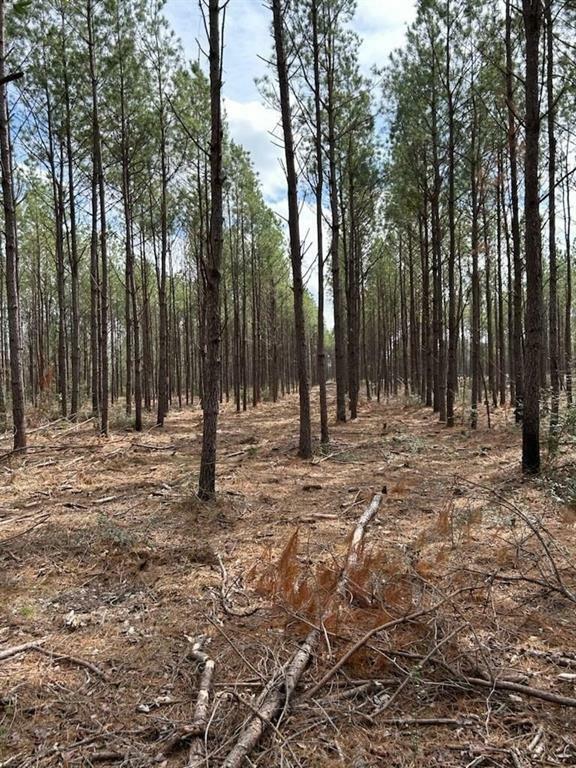 Property Photo: Tract 3 Lloyd Walker Road TX 75949
