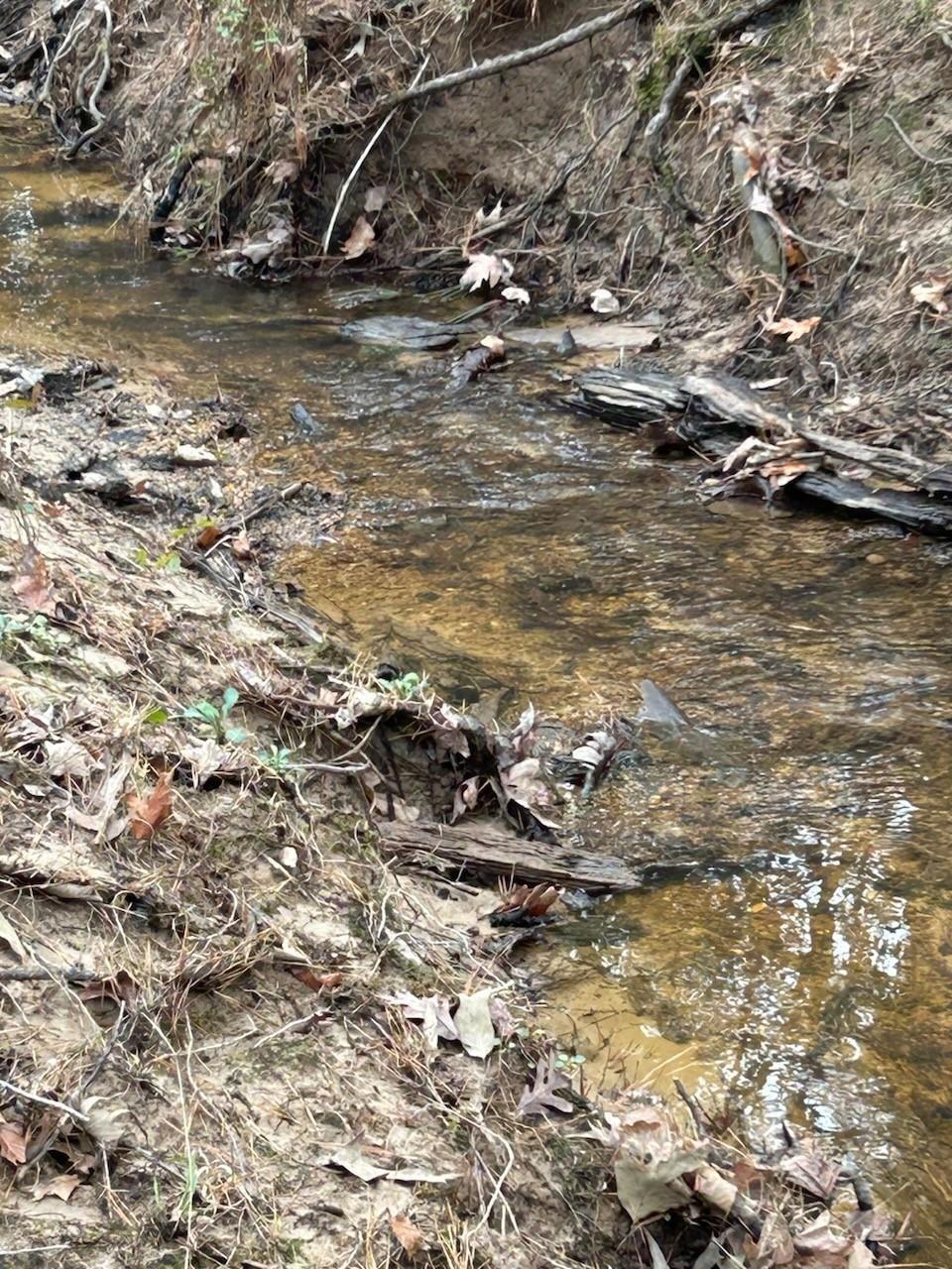 Property Photo: Tract 7 Lloyd Walker Road TX 75949