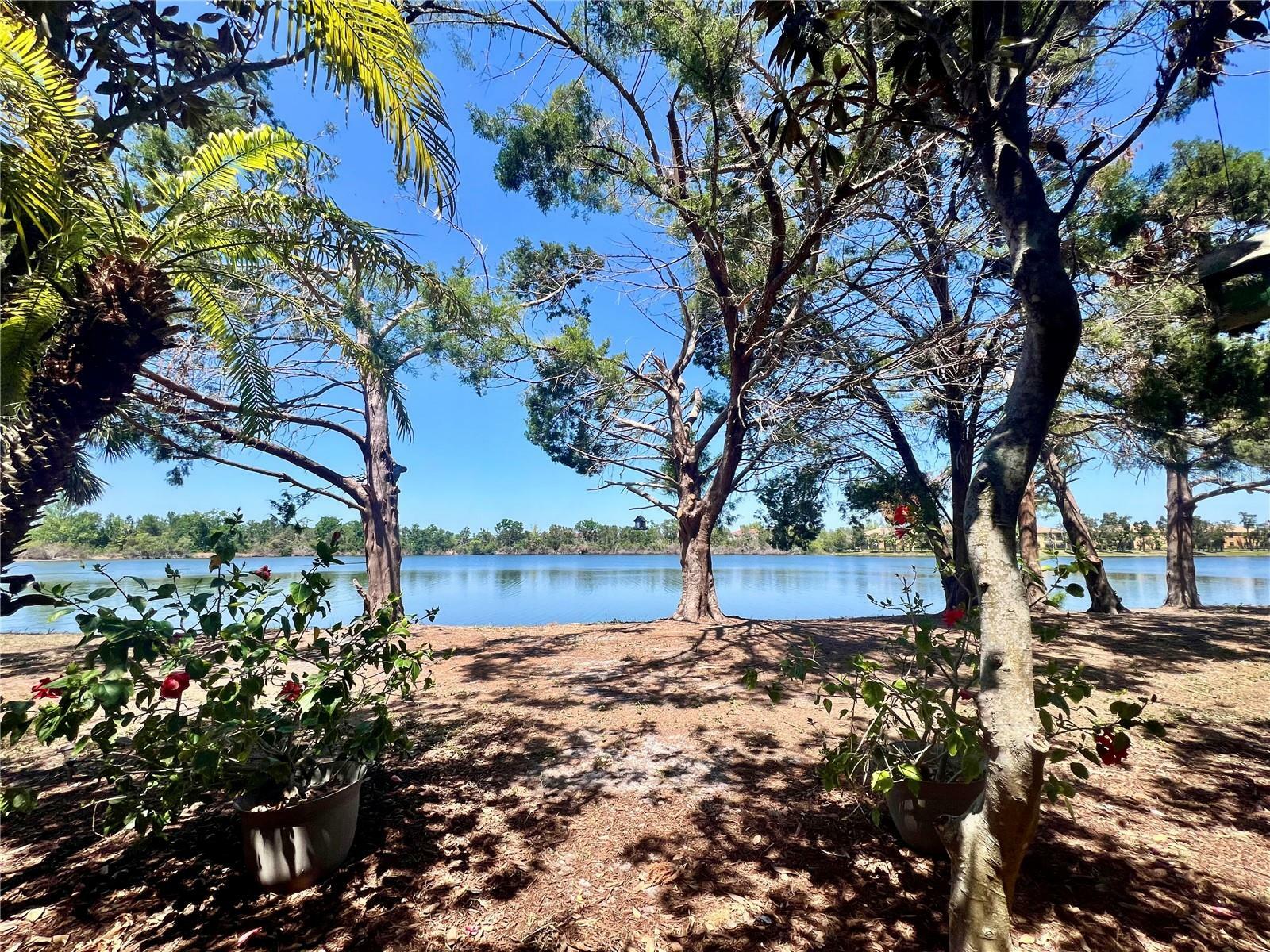 238 Cape Harbour Loop 104  Bradenton FL 34212 photo