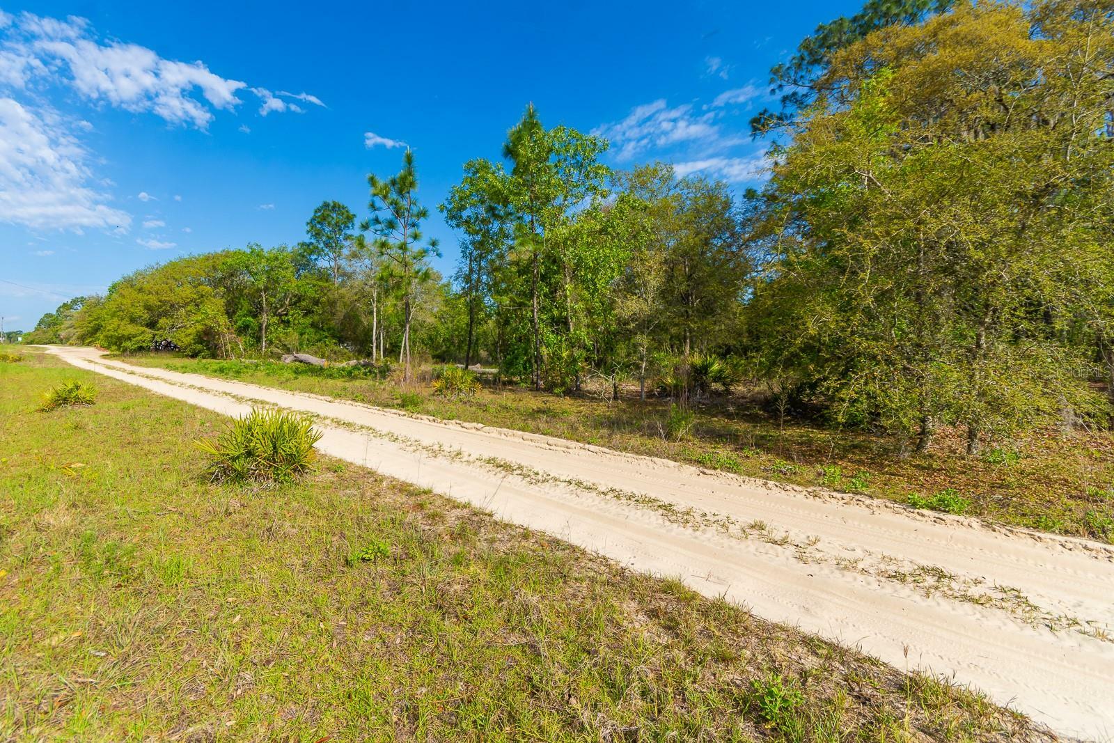 Property Photo: NE 65 Street FL 32696