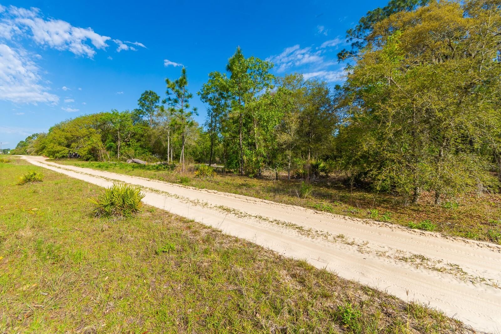 Property Photo:  NE 65 Street  FL 32696 