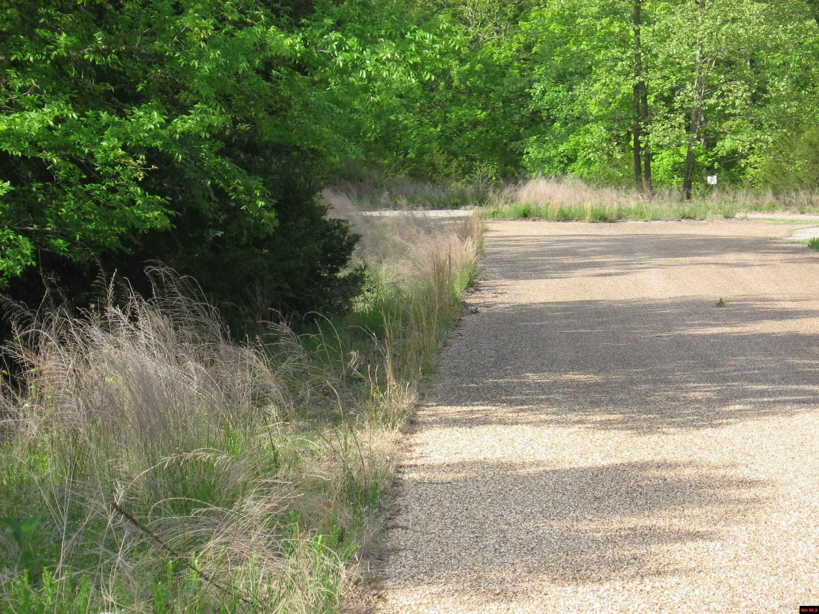 Property Photo: Lot 10 Tahoe Court AR 72653