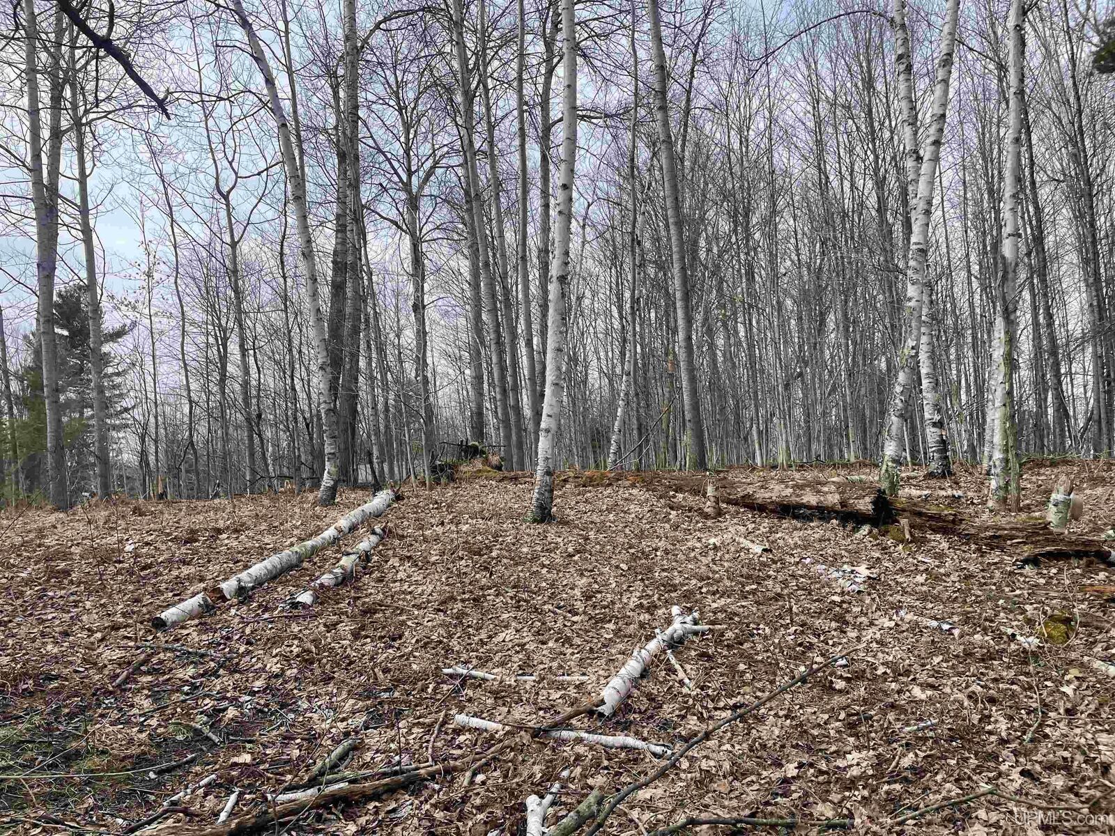 Property Photo:  Tbd Smith Lake Dr Drive  MI 49854 