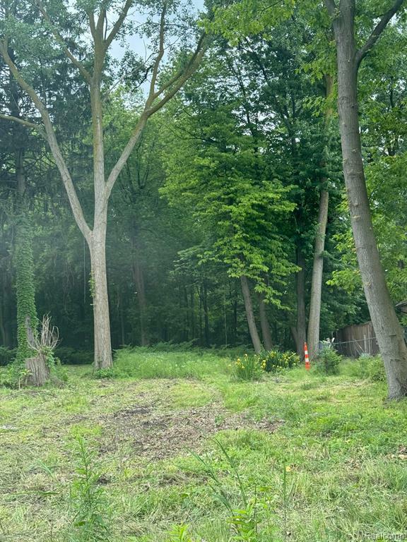 24960 Crocker Boulevard  Harrison Twp MI 48045 1909 photo