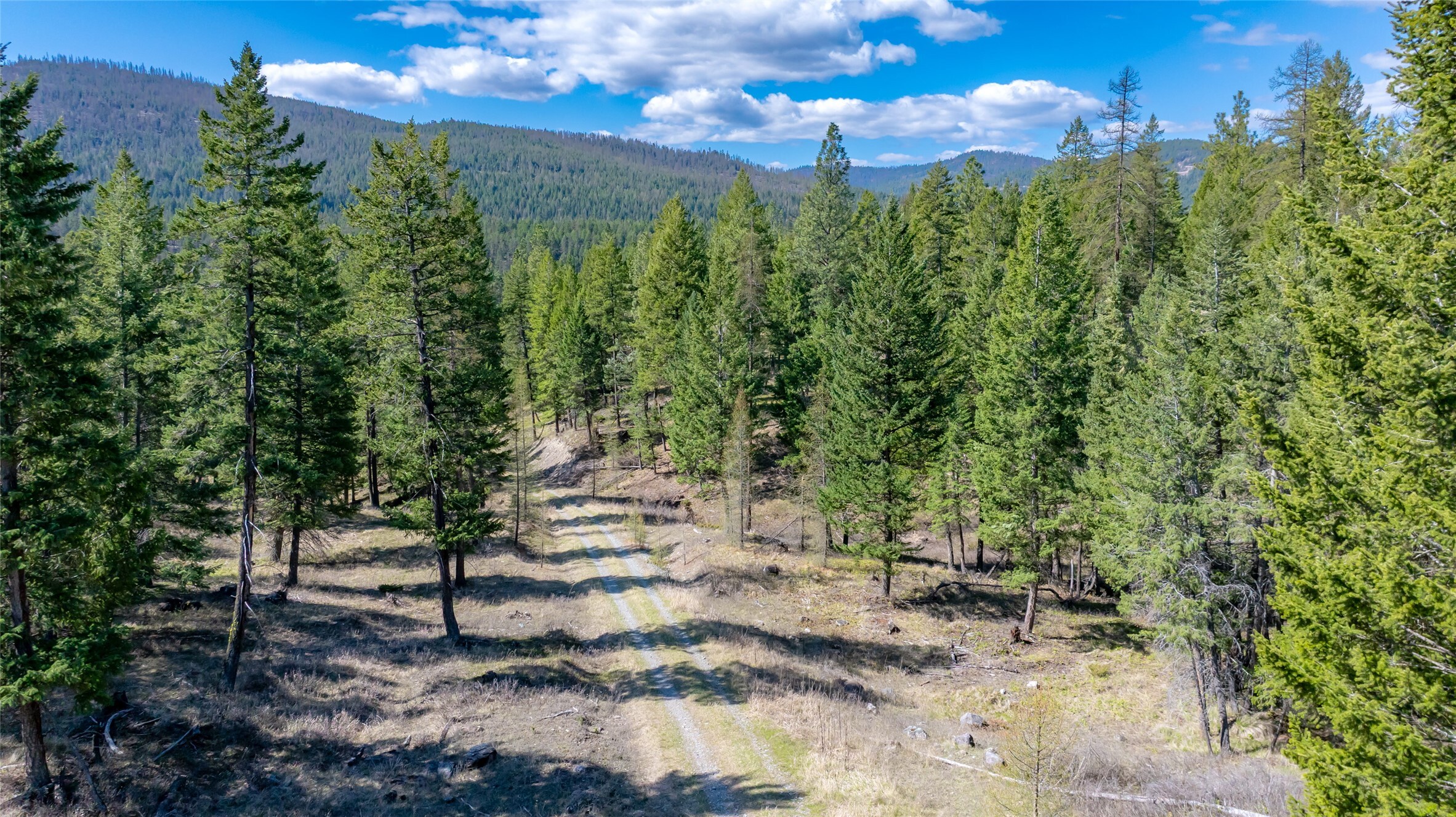 Property Photo: 380 Viano Lane MT 59901