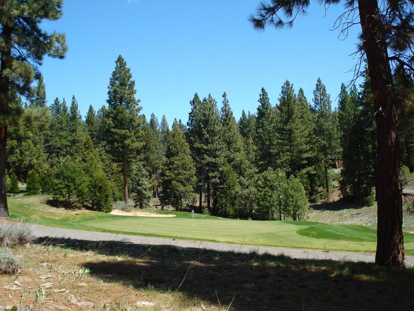 Property Photo:  360 Big Grizzly 4  CA 96122 