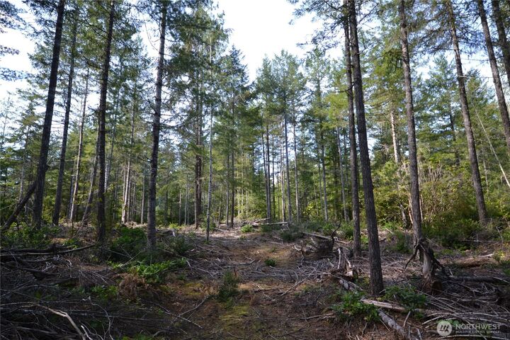 Property Photo: 0 Beal Place WA 98383