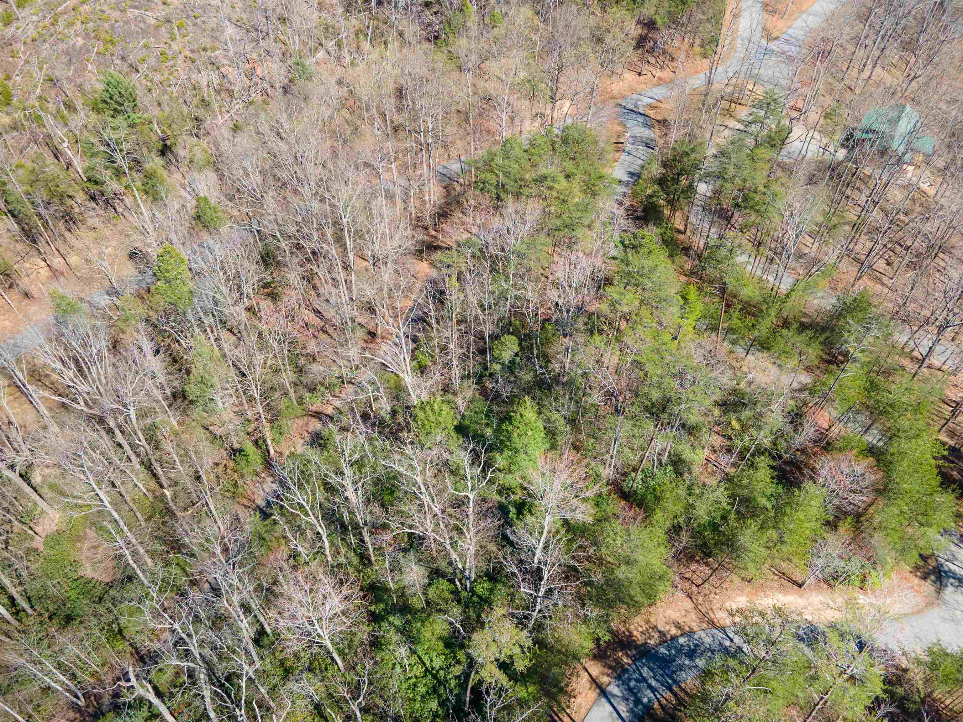Property Photo: 126 Kellerman Point NC 28746