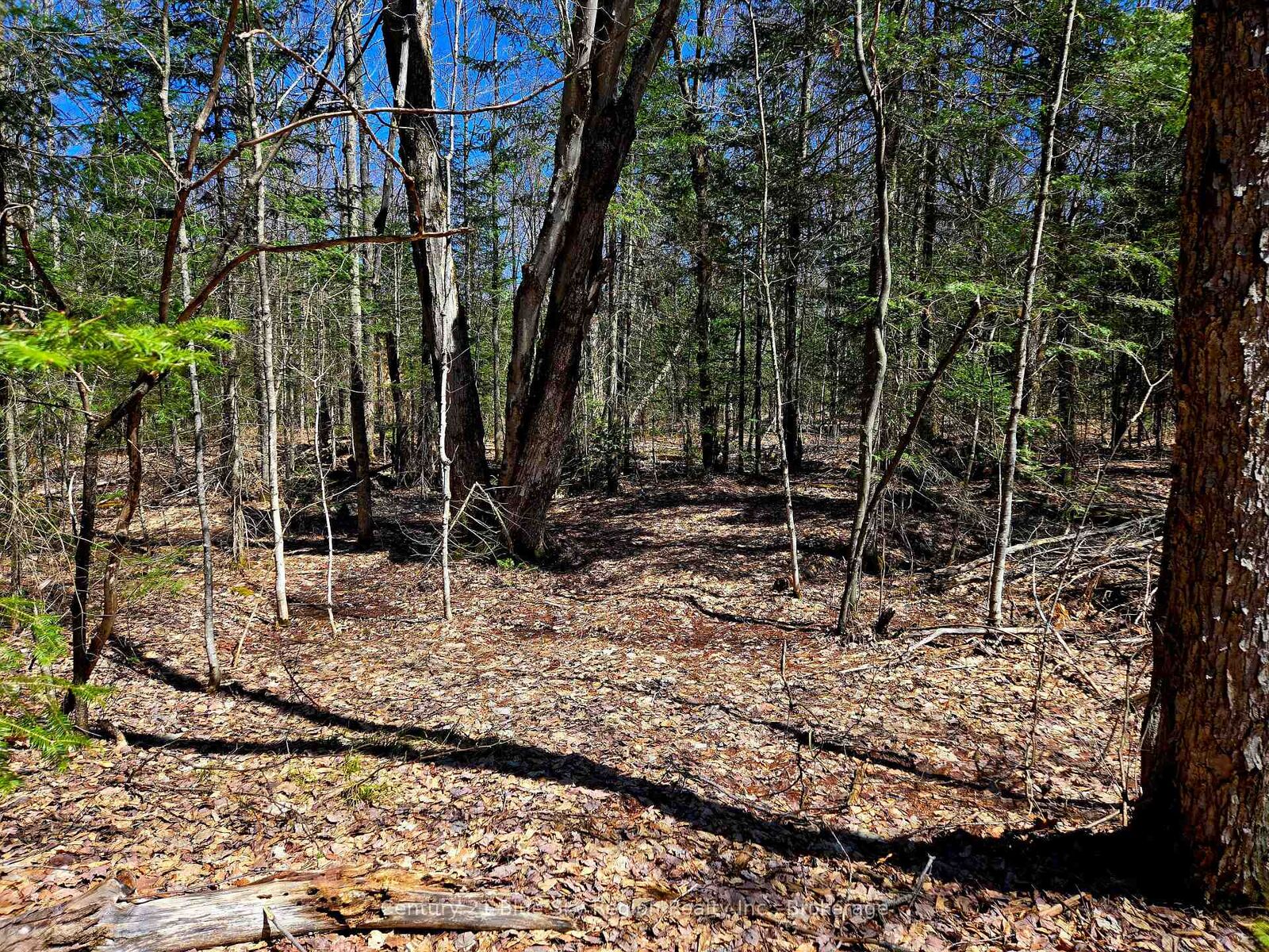 Property Photo:  3267 Highway 534 N/A  ON P0H 1W0 