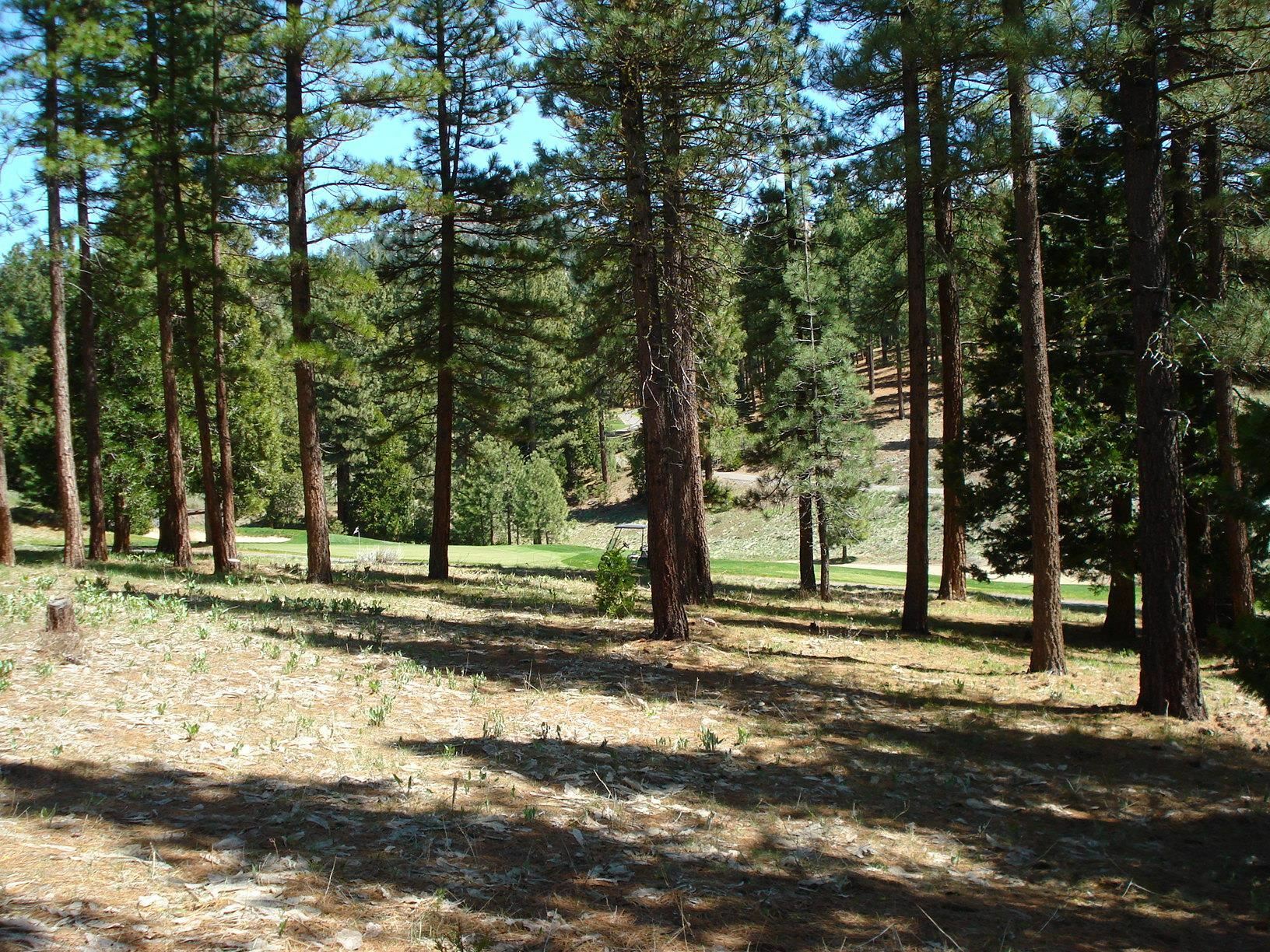 Property Photo:  360 Big Grizzly Road  CA 96122 