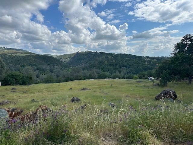 Property Photo: 7033 Cane Lane CA 95252