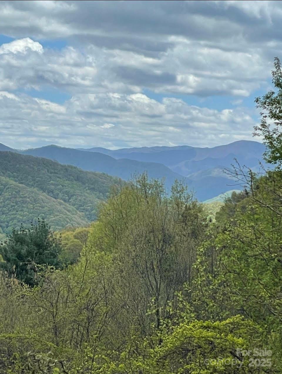 Property Photo: 0000 Jerome Lane NC 28748