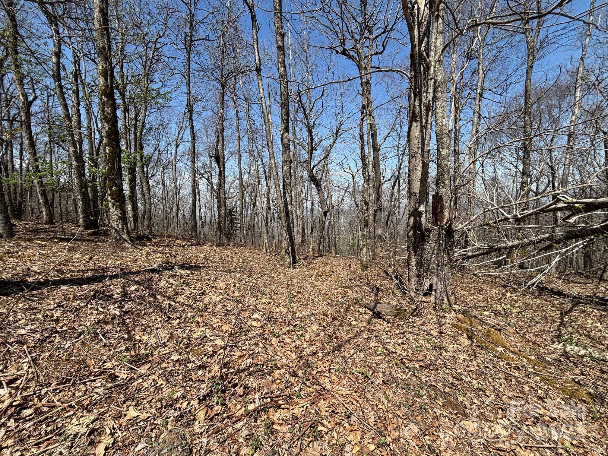 Property Photo: Tbd Arrowhead Ridge Road NC 28777