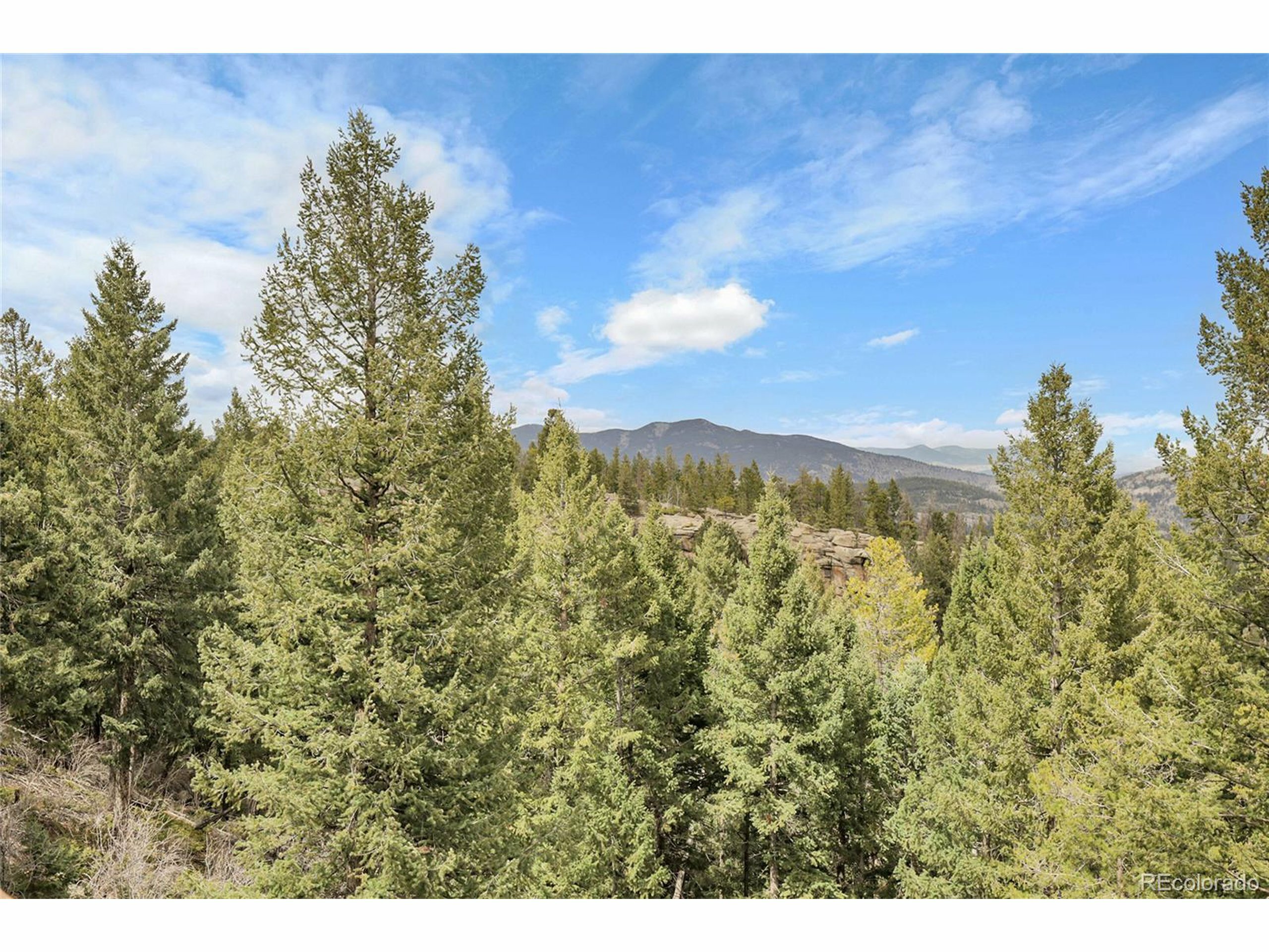 Property Photo: 33121 Lynx Ln CO 80439