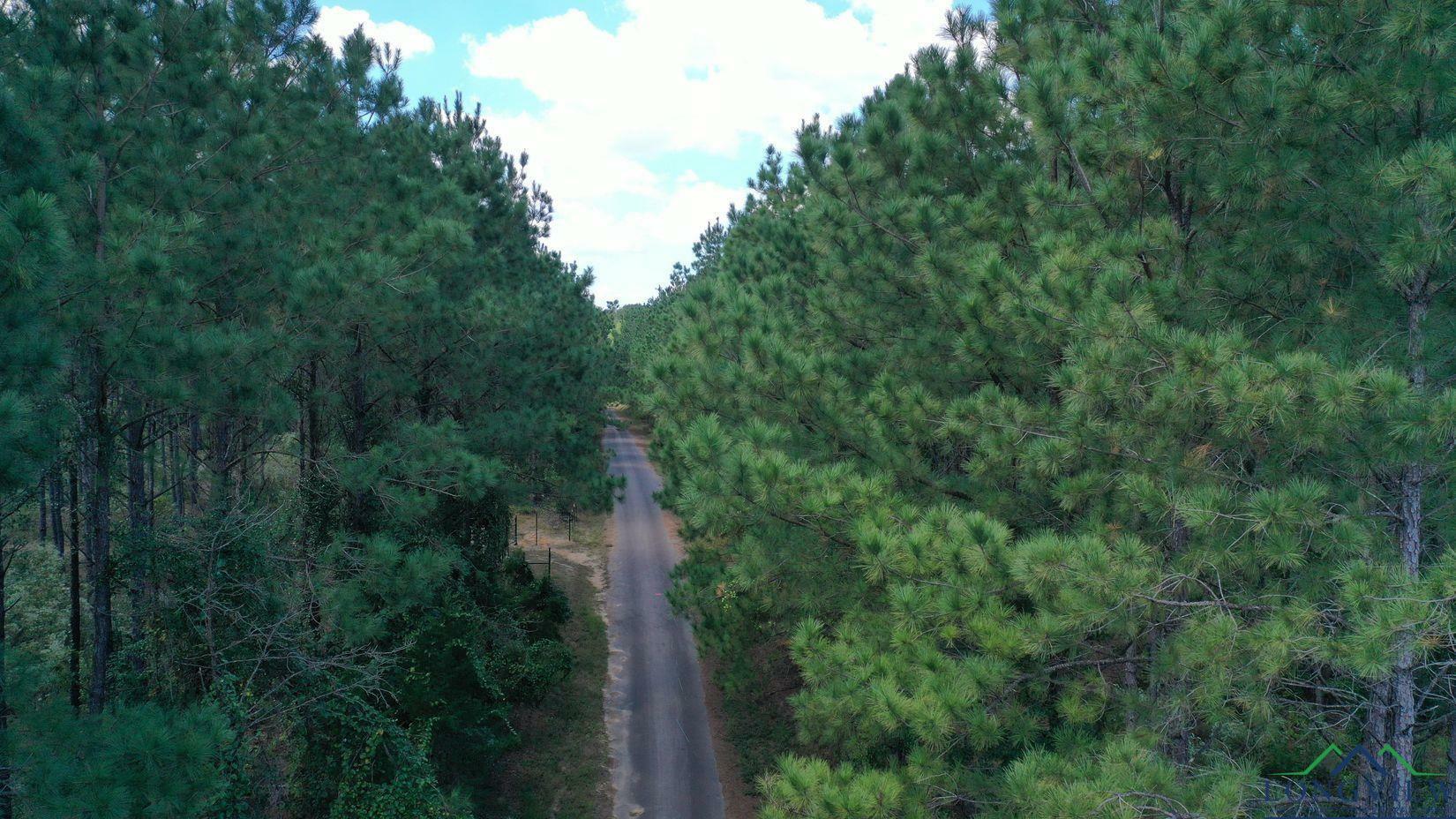 Property Photo: 000N County Road 1926 TX 75563