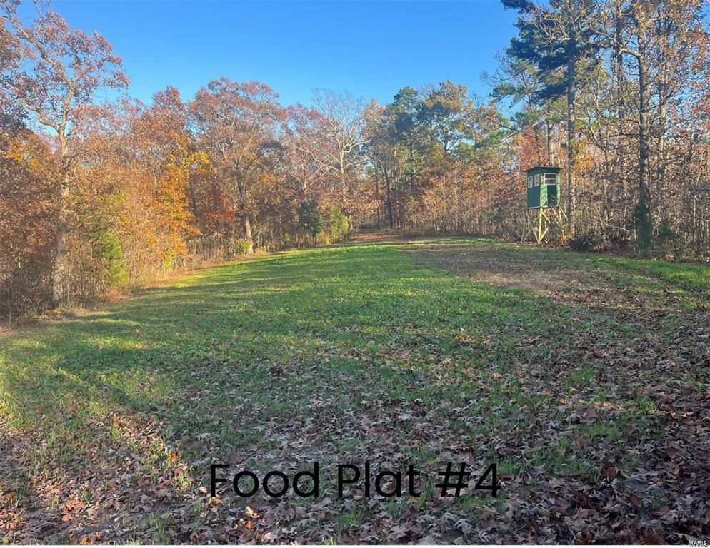 Property Photo: 0 Tract 1 (160+/- Acres) Lodge Road MO 65441
