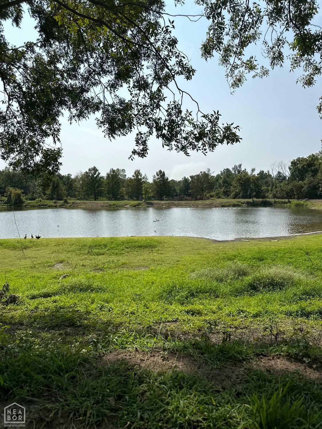 Property Photo: 3337 E County Road 70 AR 72315