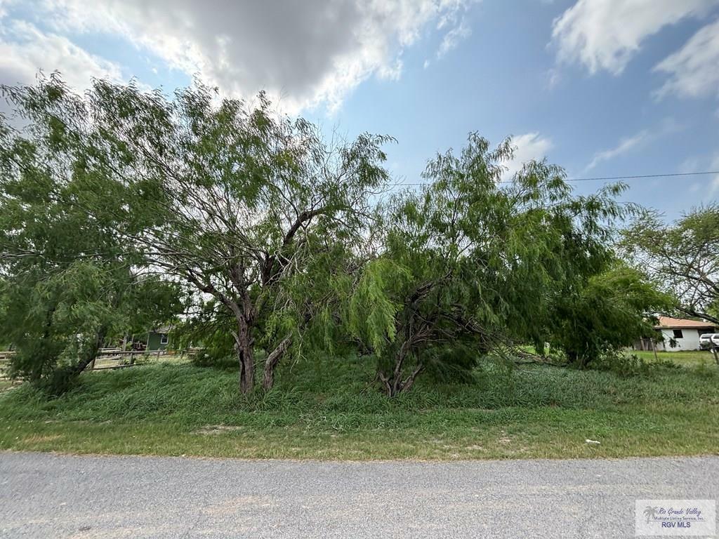 Property Photo: 37164 Nicho Esparza Rd TX 78586