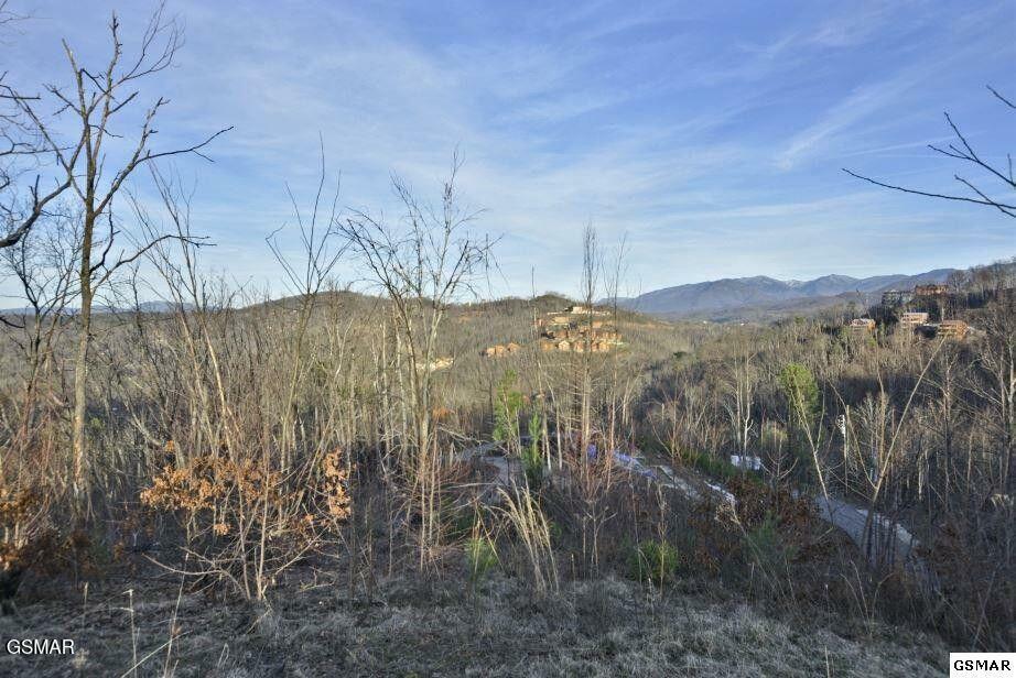 Property Photo: 429 Red Hawk Way TN 37738