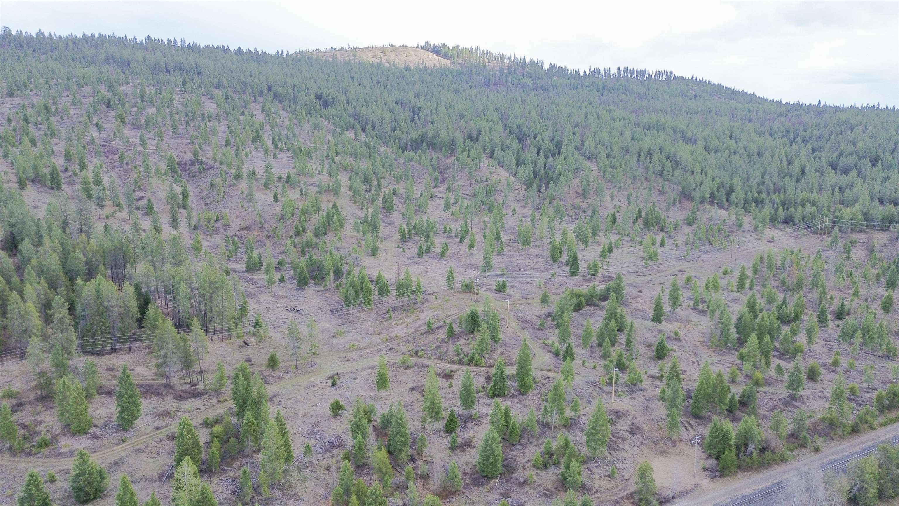 Property Photo: 3329 B 231 Hwy WA 99181