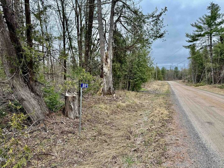 885 Cleveland Road  Tudor and Cashel ON K0K 1Y0 photo