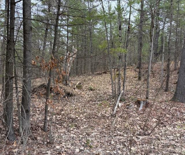 Property Photo:  325 Bridgewater Road  ON K0K 2K0 