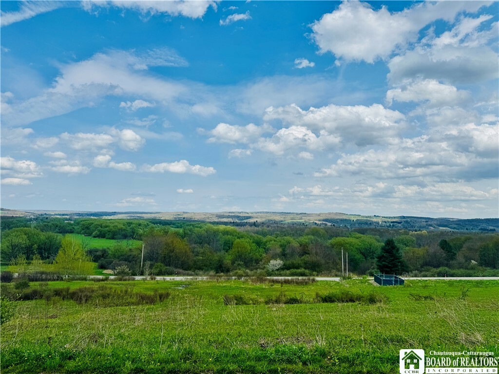 Property Photo: 0 Route 380 Road NY 14782