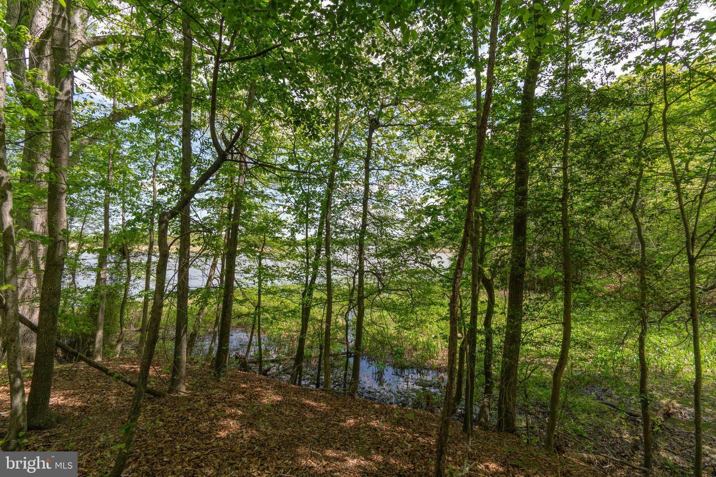 Property Photo: 200 Hoffman Lane MD 21620