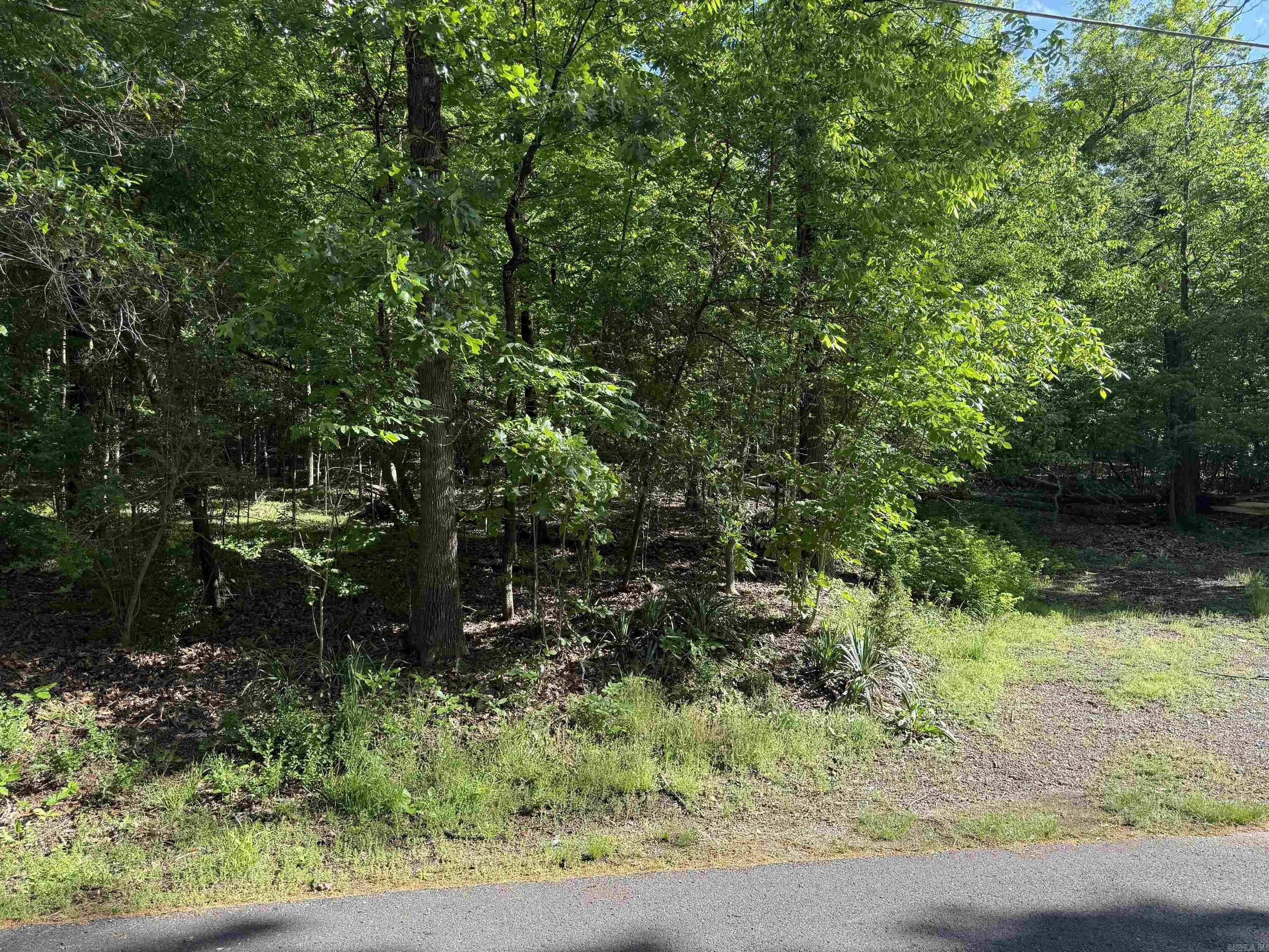 Property Photo: Tbd Northshore Terrace AR 71913
