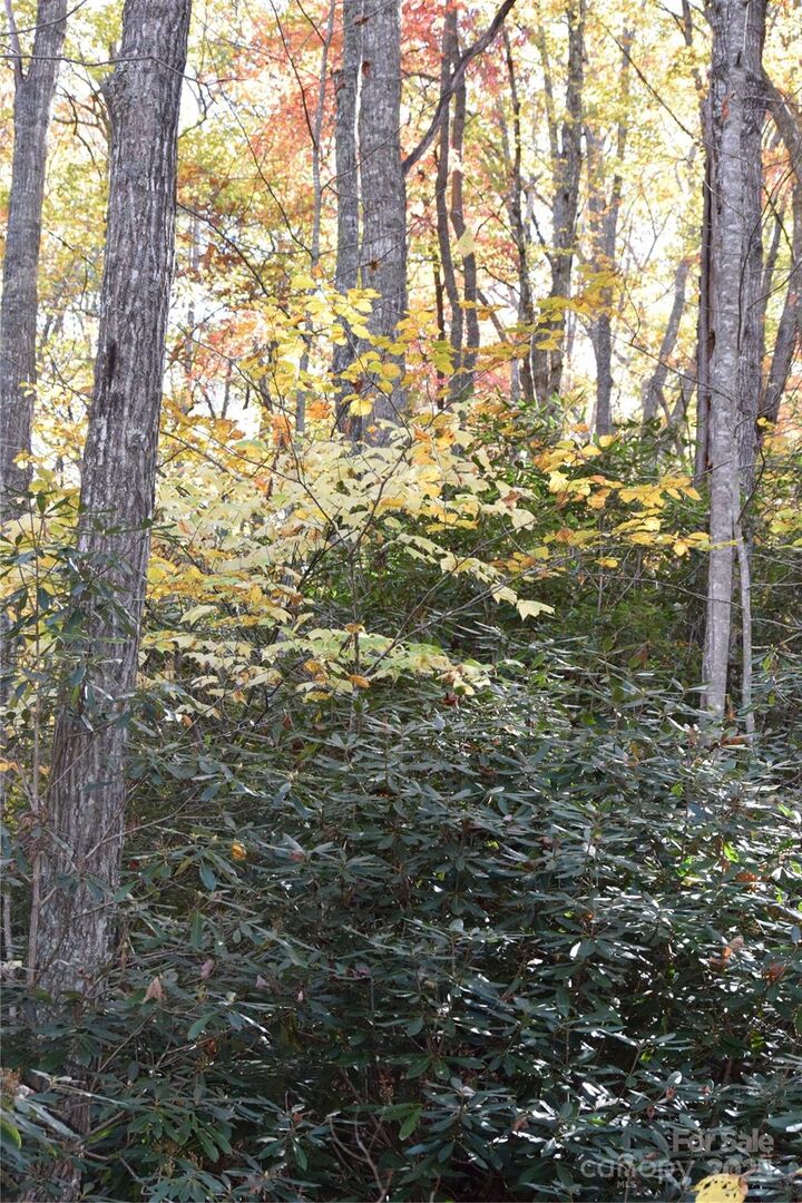 Property Photo: Tbd Clear Creek Road NC 28714