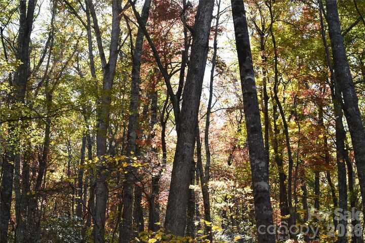 Property Photo: Tbd Clear Creek Road NC 28714