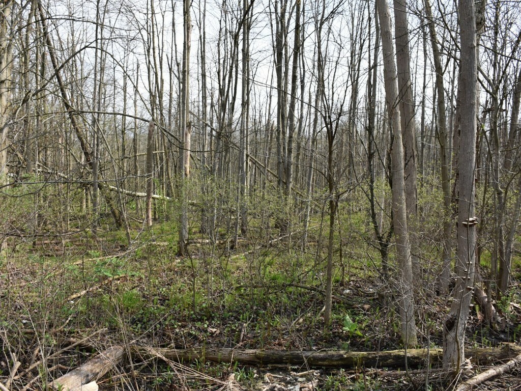 Property Photo: 3214-024 Blooming Valley Road PA 16335