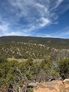 Property Photo: Larry'S Lane NM 87008